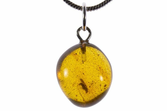 Polished Baltic Amber Pendant (Necklace) - Contains Fly! #339581